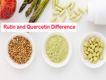 Rutin and Quercetin Difference